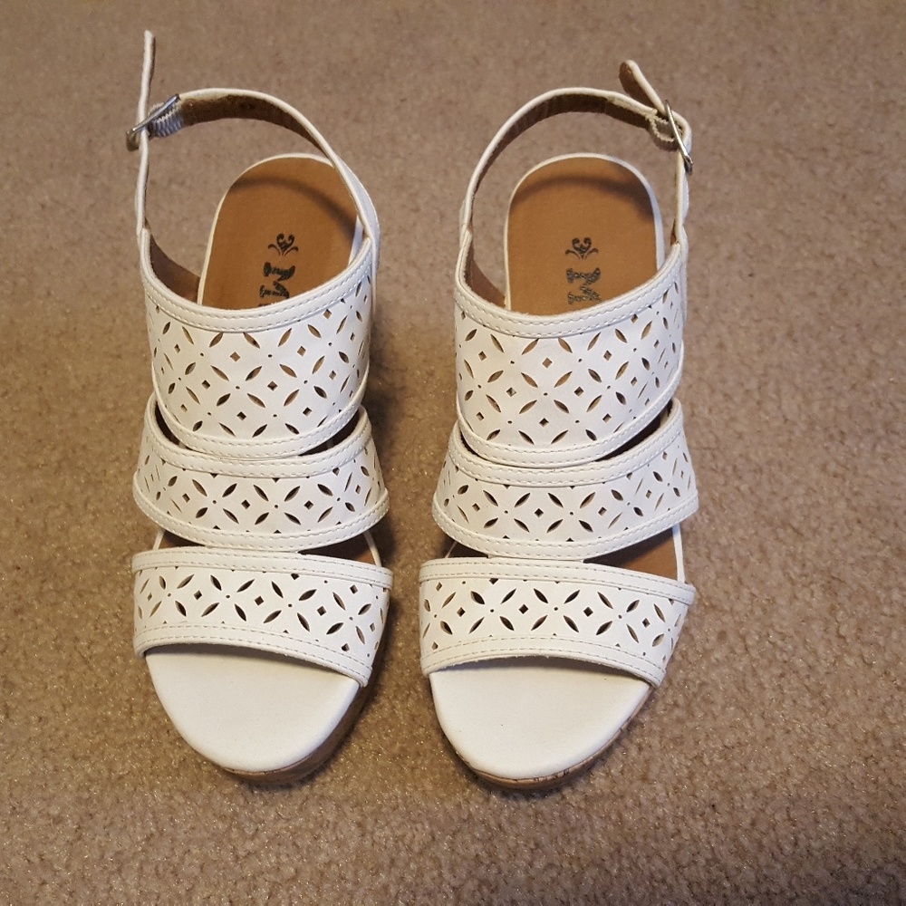Mudd Wedges